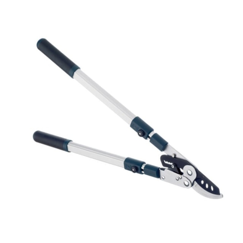 Bulldog BD3113TW Evergreen Extending Bypass Loppers