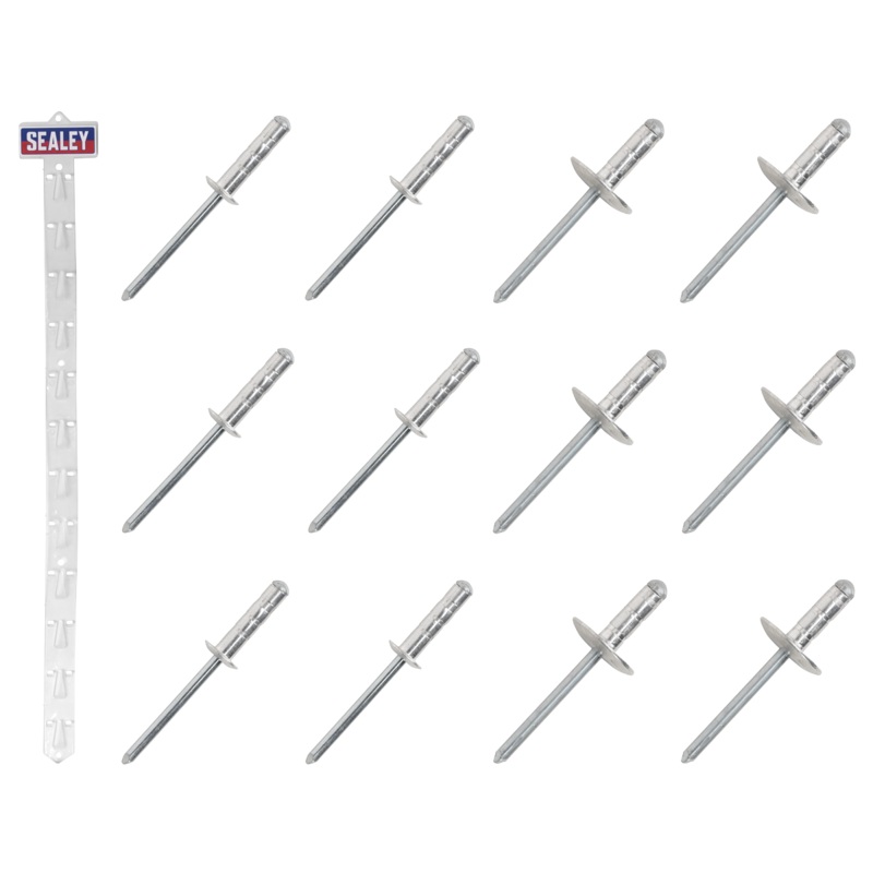 Sealey Clip Strip Deal – Aluminium Rivets