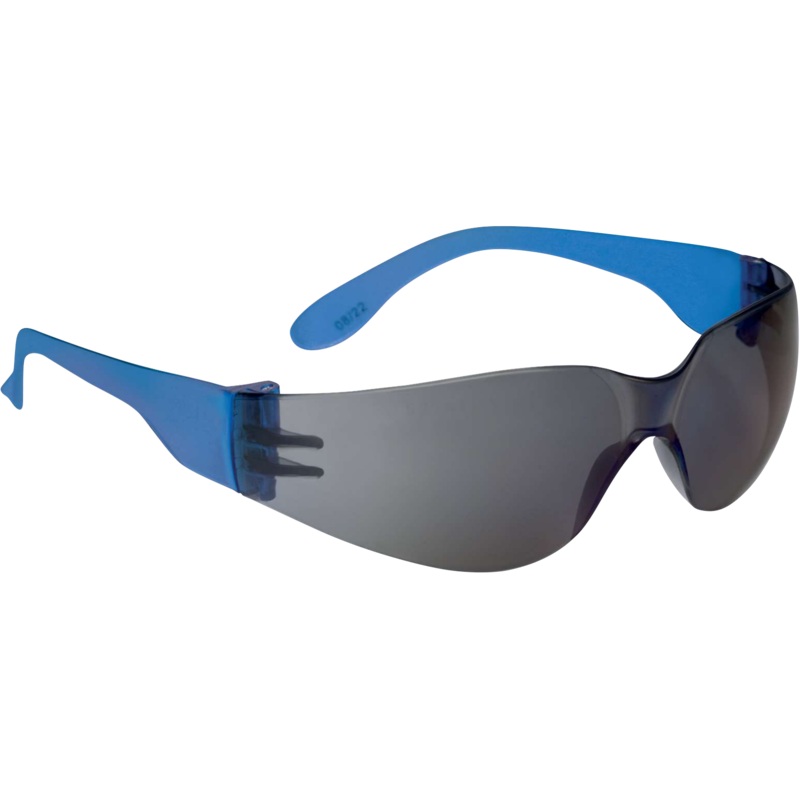 Delta Plus BRAVA2 MIRROR Safety Glasses  Mirror Blue Lens for Indoor & Outdoor Protection