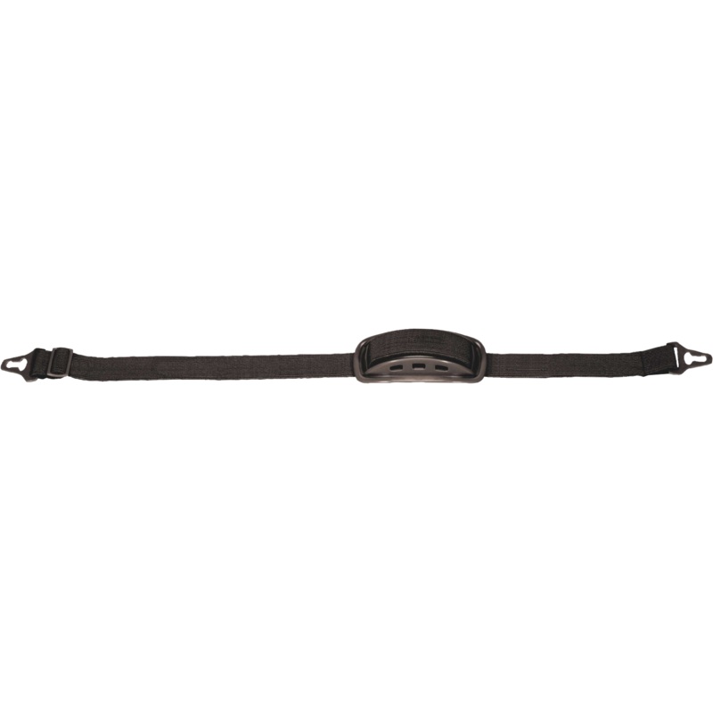 Delta Plus MENTALPHA 2-Point Chinstrap with Protector
