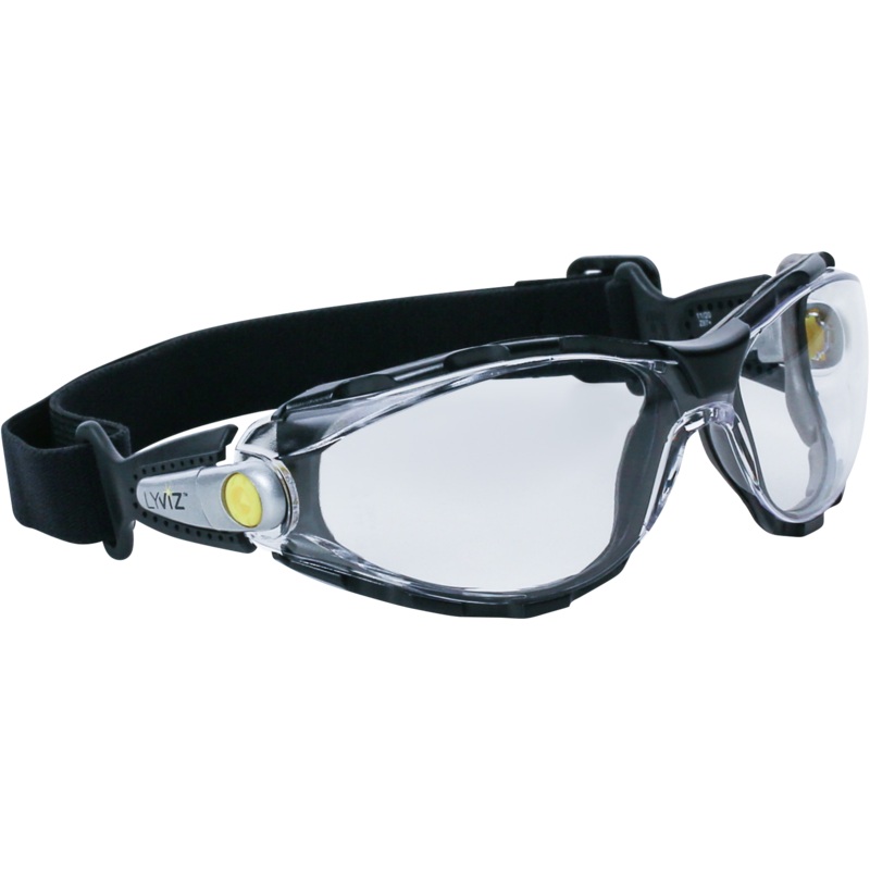 Delta Plus PACAYA CLEAR STRAP LYVIZ Safety Glasses