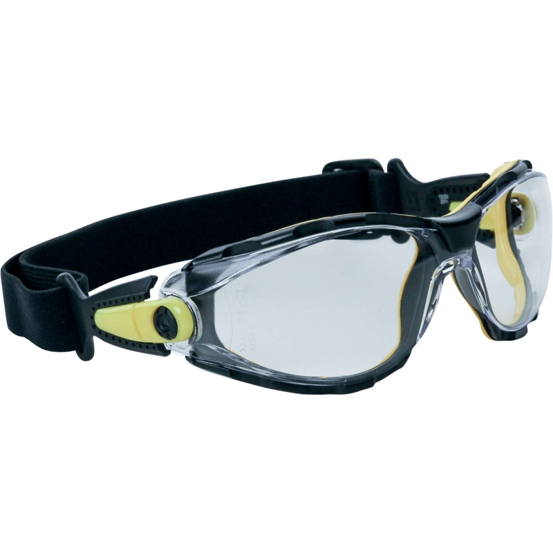 Delta Plus PACAYA CLEAR STRAP Safety Glasses