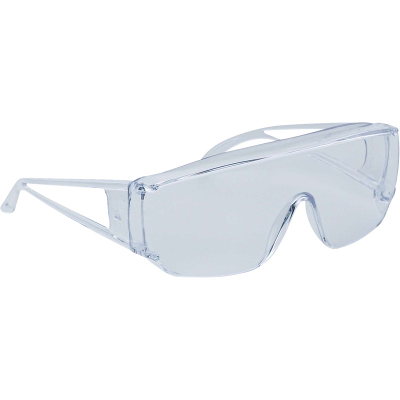 Delta Plus PITON 2 CLEAR Safety Glasses