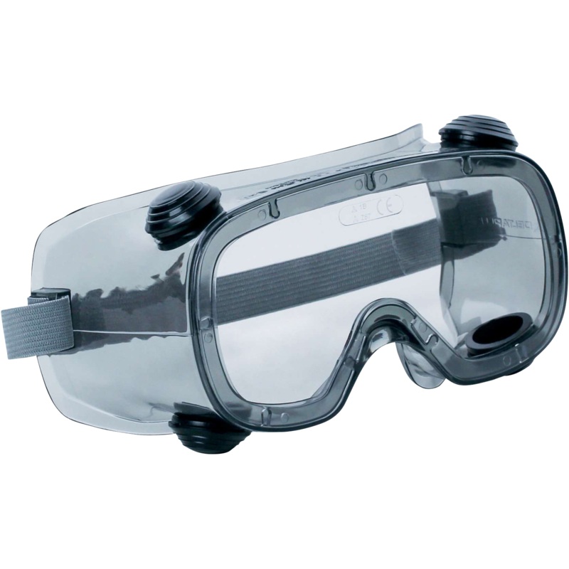 Delta Plus RUIZ 1 Safety Goggles