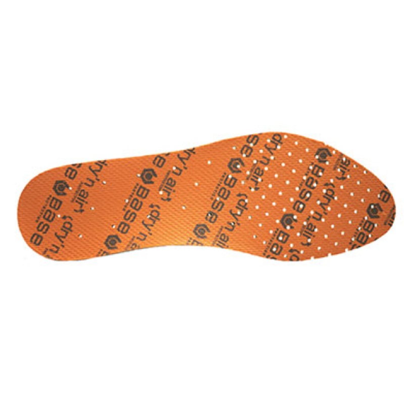 Base Protection Record Insoles