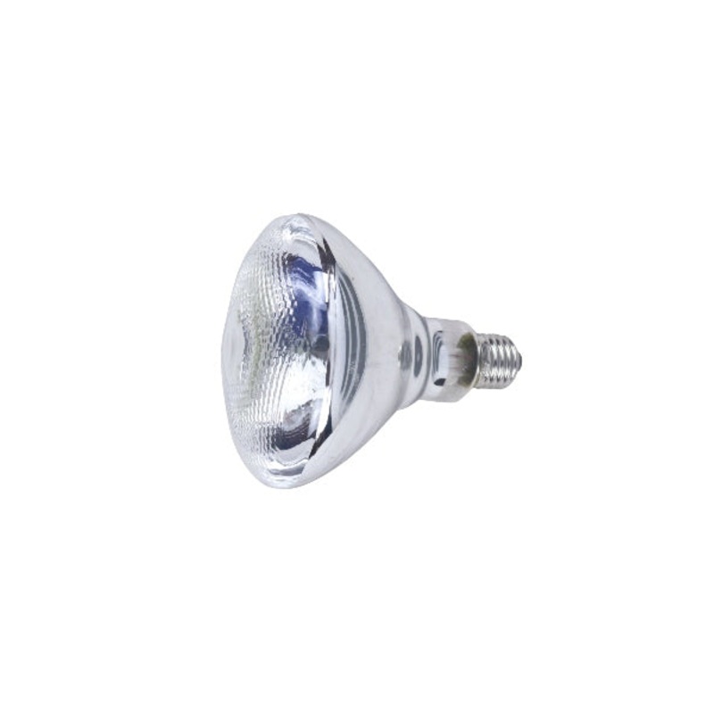 EUROLUX LAMP 150W 240V PAR38 G100