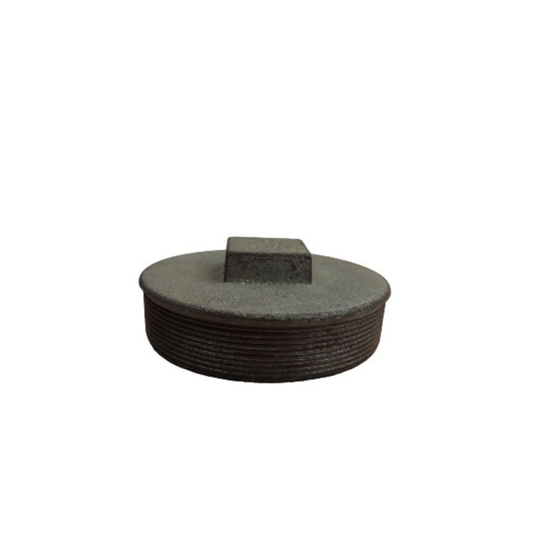 GI END PLUG 2
