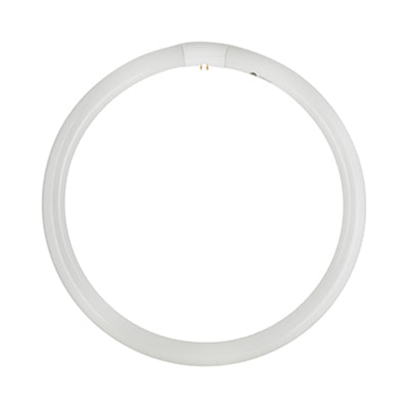 RADIANT FLUORESCENT CIRCLINE T9 G10Q 40W 4000K RLF34