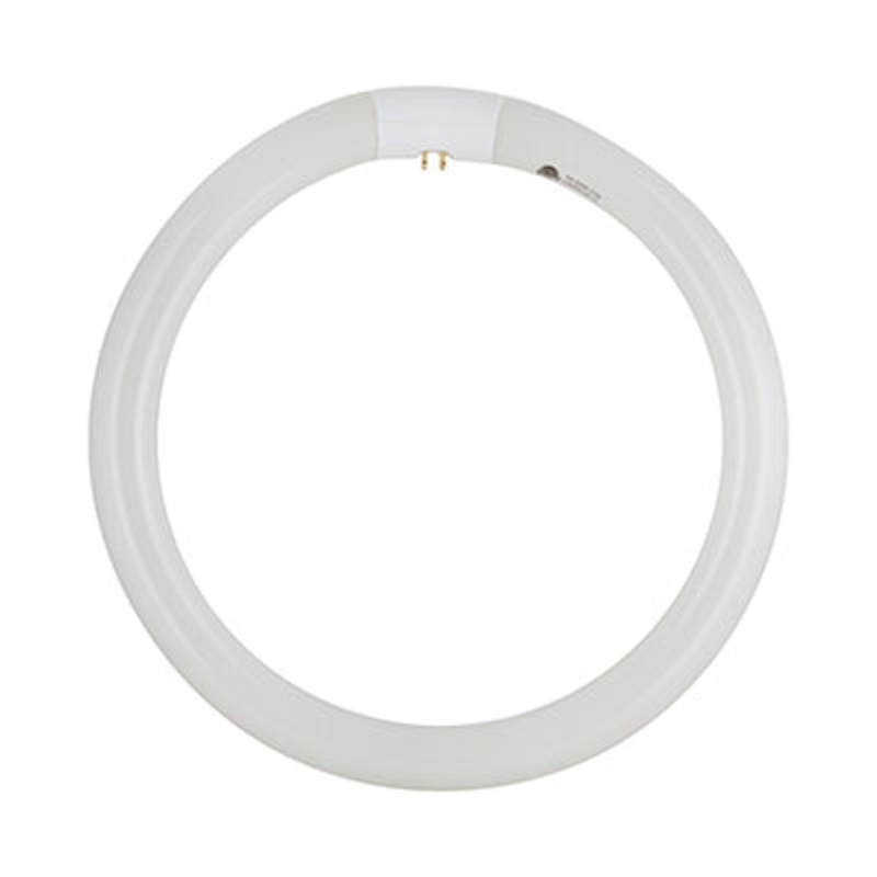 RADIANT FLUORESCENT CIRCLING T9 G10Q 32W 4000K RLF33