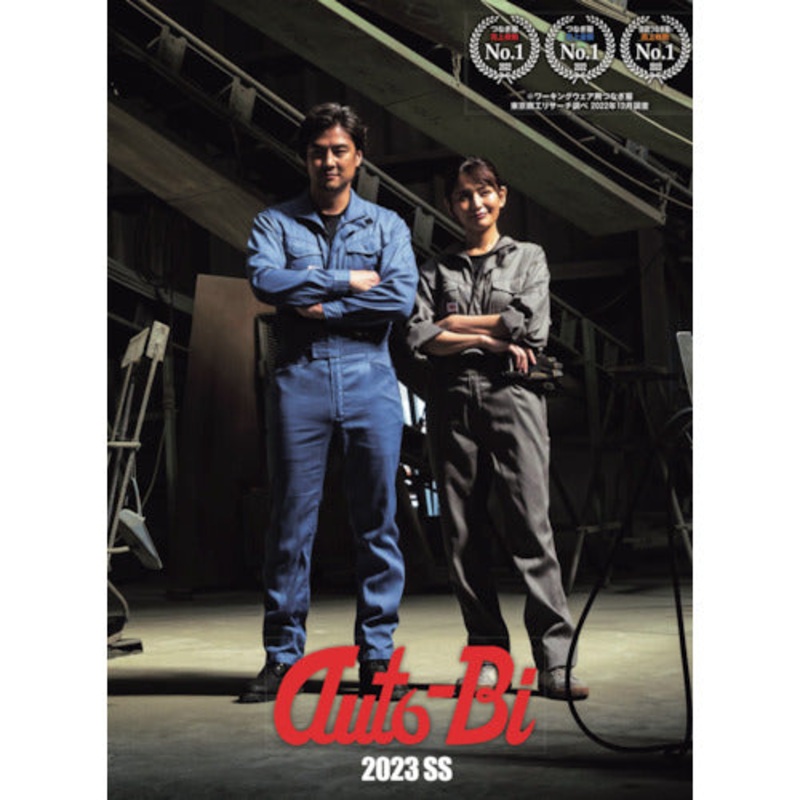 Catalog  CATALOG1  AUTO-BI