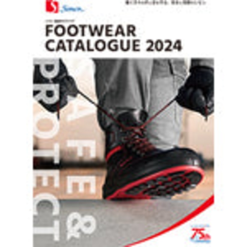 CATALOG1                      3043  SIMON