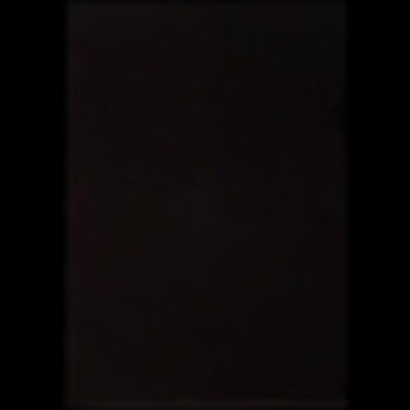 Clear holder A4 10P  88517  PLUS