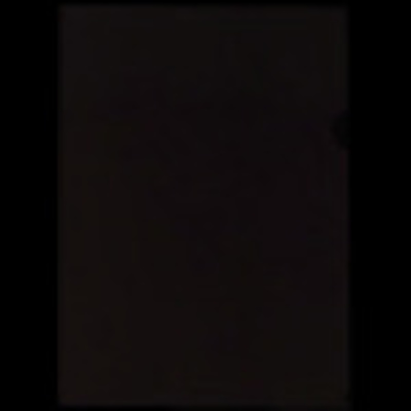 Clear holder B5 10P  88518  PLUS