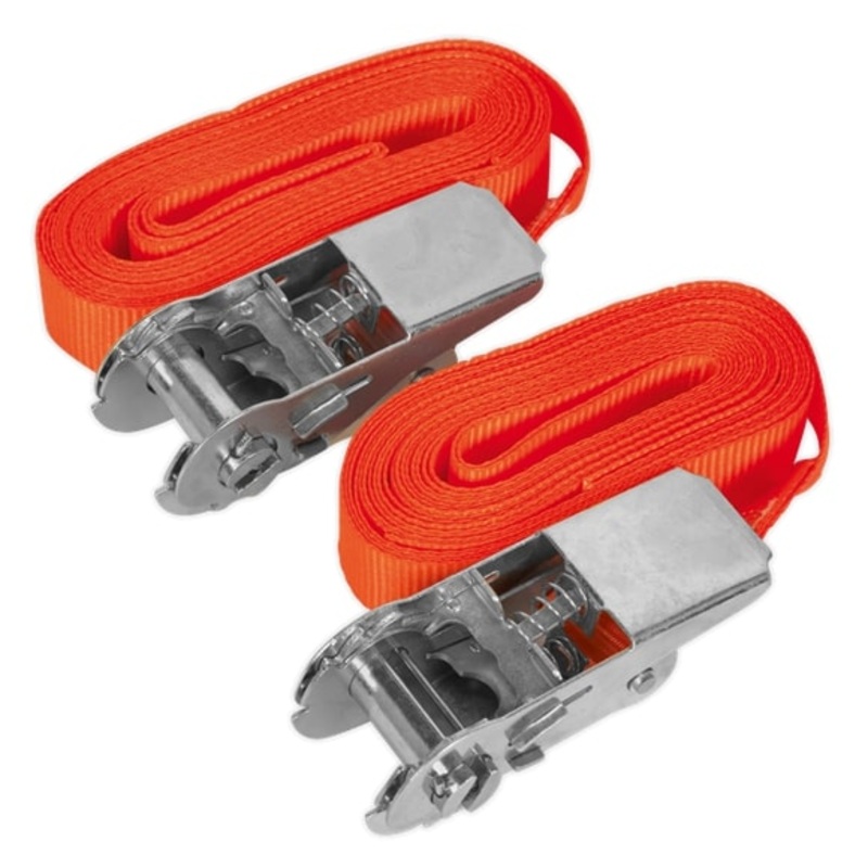 Sealey TD05045E S/Securing Ratchet Tie Down 25mm x 4.5m 500kg Load – Pair