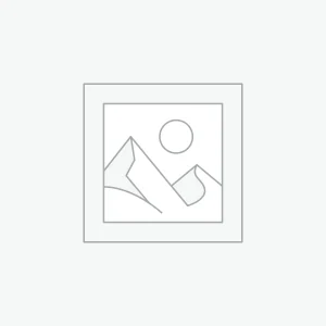 GEDORE TORX FLAT RING SPANNER EXTERNAL E20XE24 TX4